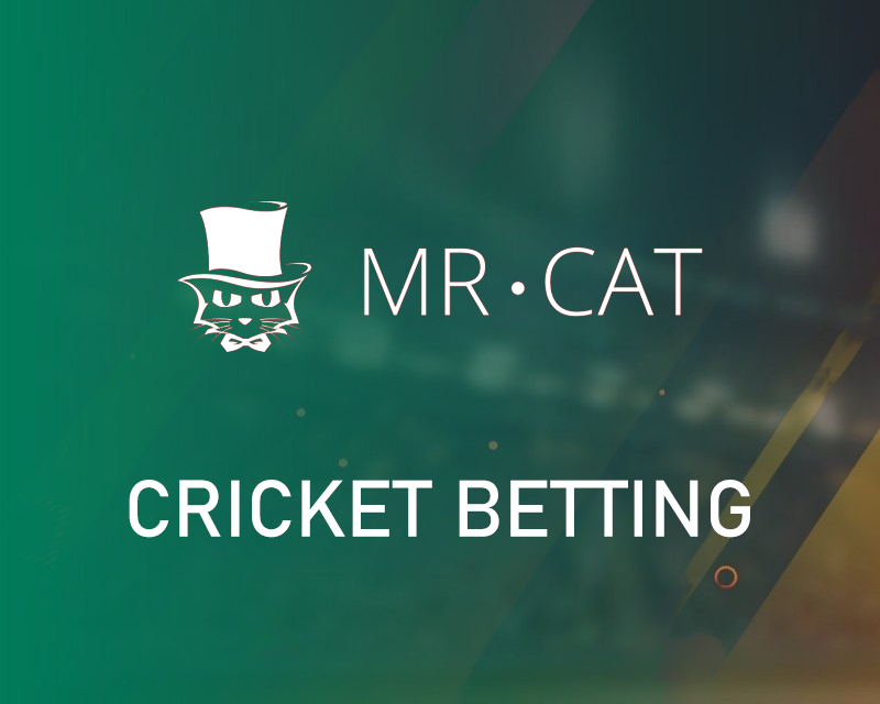 cricket,cricket betting,क्रिकेट सट्टेबाजी,mr.cat,mrcat